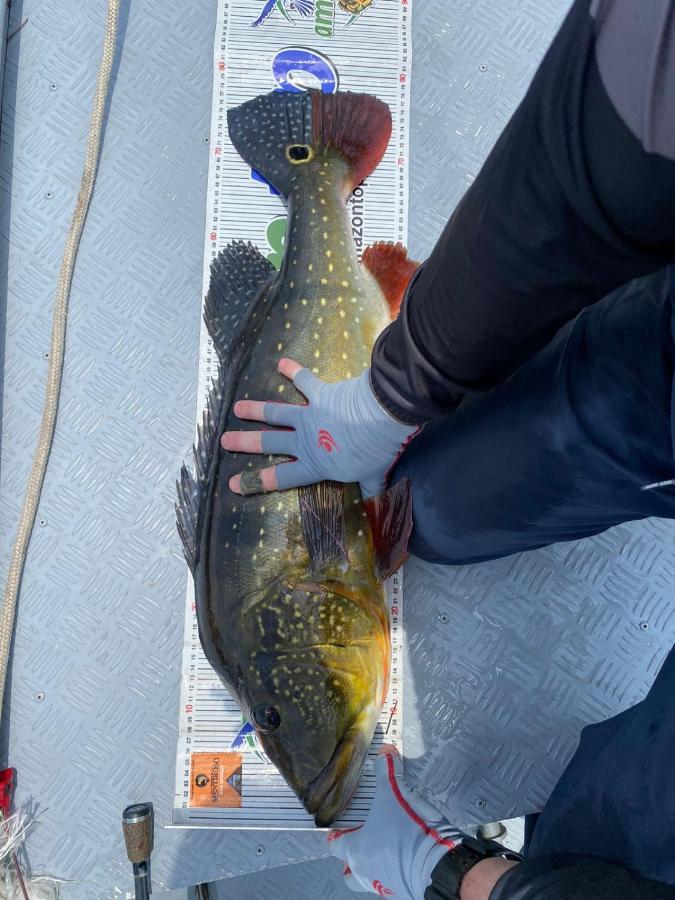 Hotel Tucunare Sport Fishing Itacoatiara  Zewnętrze zdjęcie
